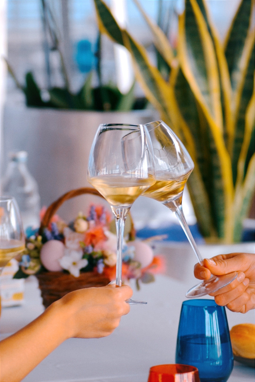 Restaurant Dubrovnik fine dining - two glasses with white wines